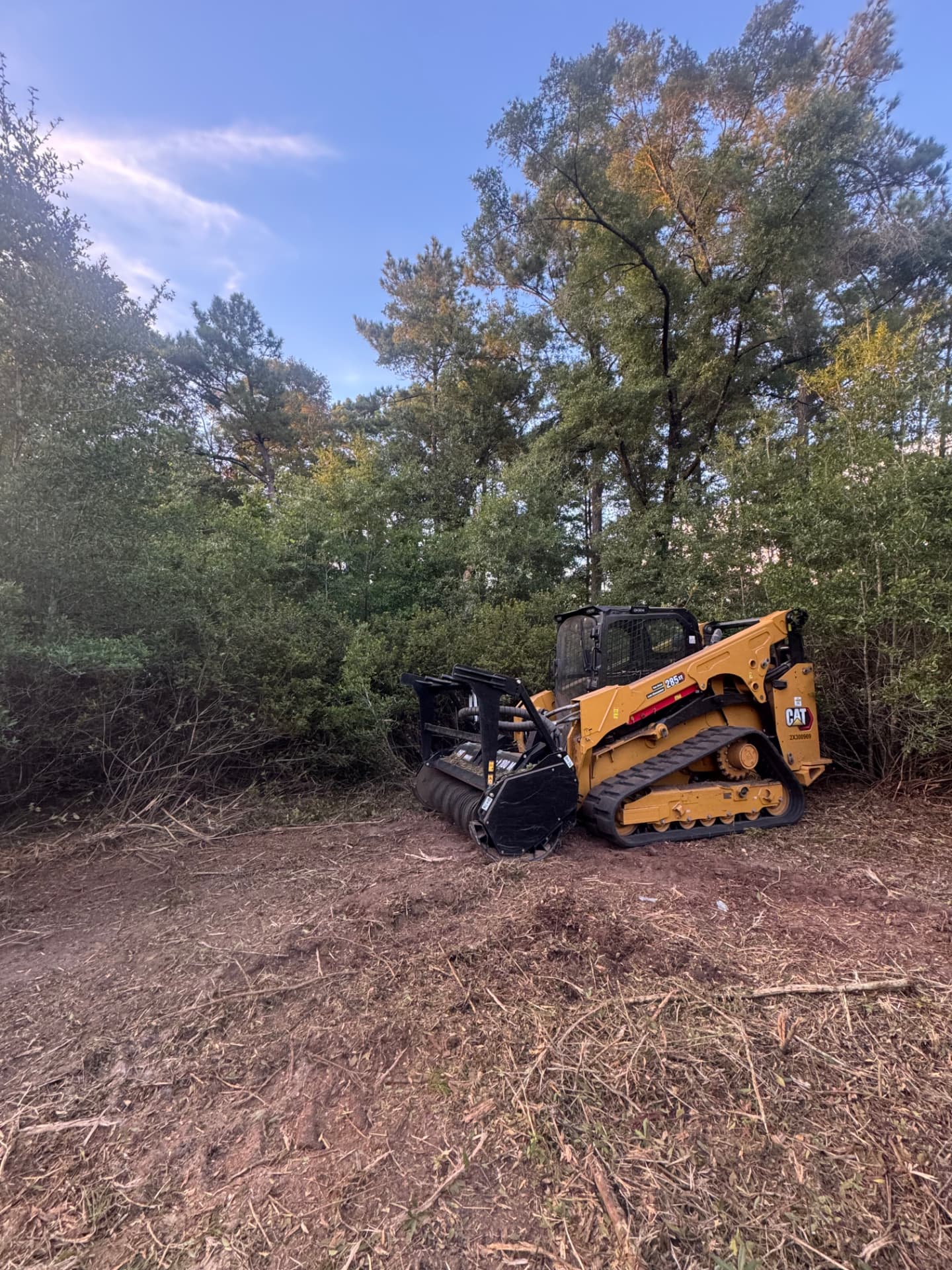 CAT 285 with the mulching head working a heavy brush line